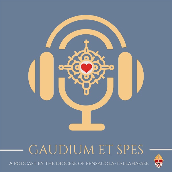 Artwork for The Gaudium et Spes Podcast