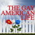 The Gay American Life