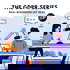 The GDPR Series