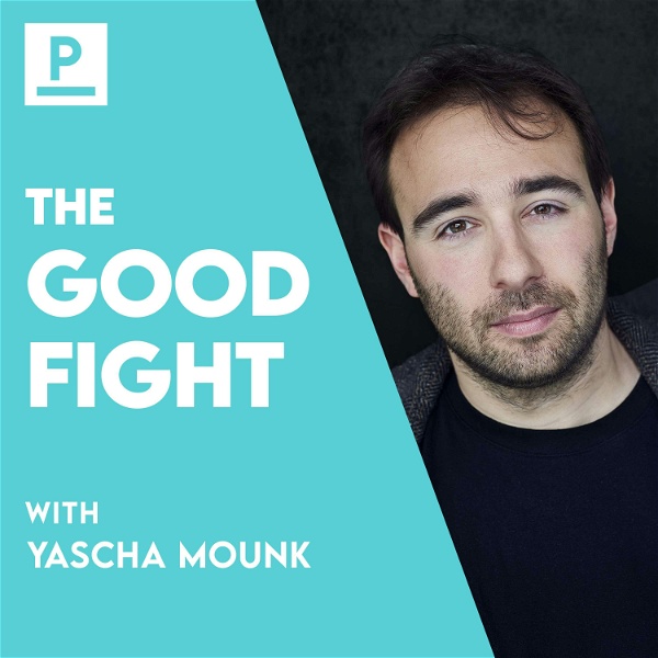 Artwork for The Good Fight