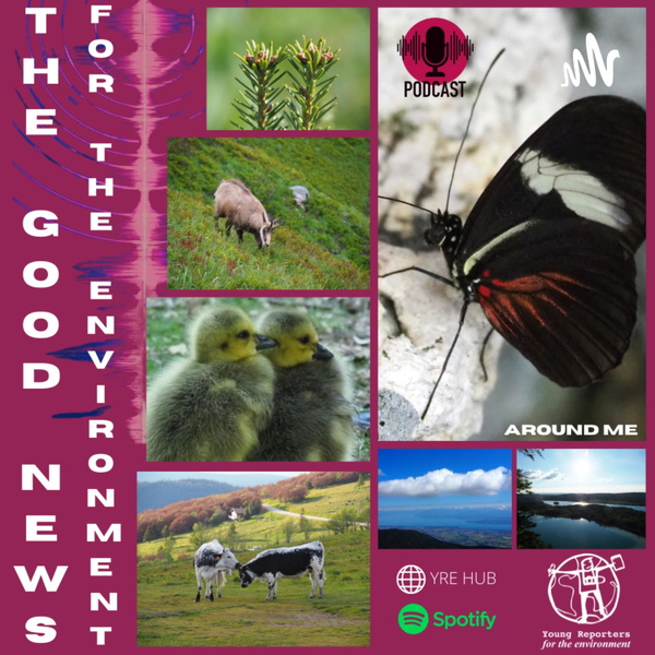 Artwork for The Good News for the Environment around me