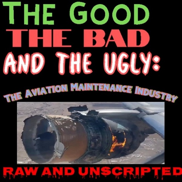 Artwork for The Good the Bad and the Ugly: The Aviation Maintenance Industry