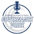 Governance Voice