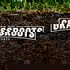The Grassroots Podcast