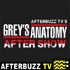The Grey's Anatomy After Show Podcast