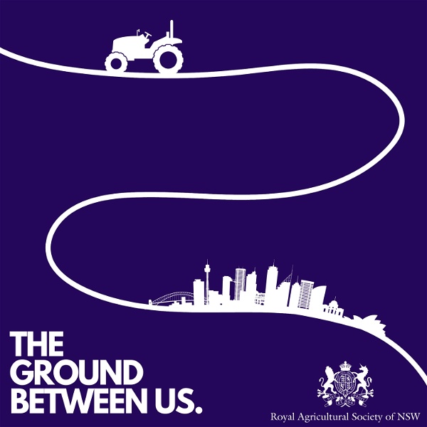 Artwork for The Ground Between Us