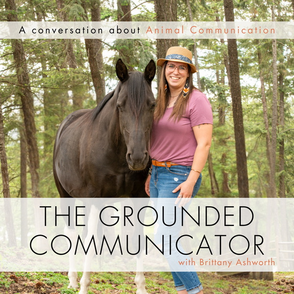 Artwork for The Grounded Communicator