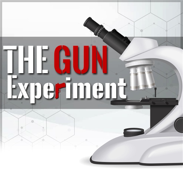 Artwork for The Gun Experiment