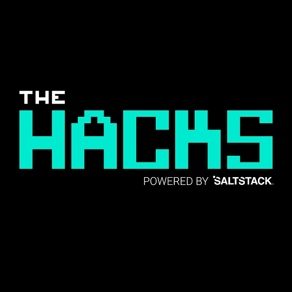 Artwork for The Hacks