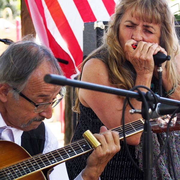 Artwork for The Harmonica Lady