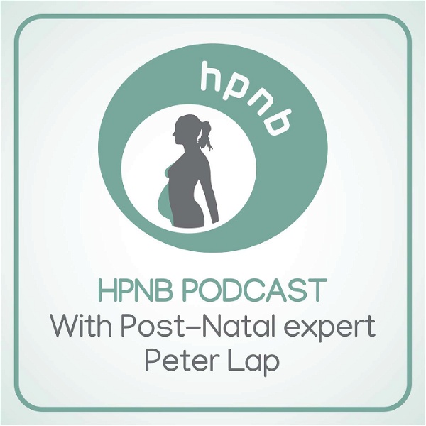 Artwork for The Healthy Post Natal Body Podcast
