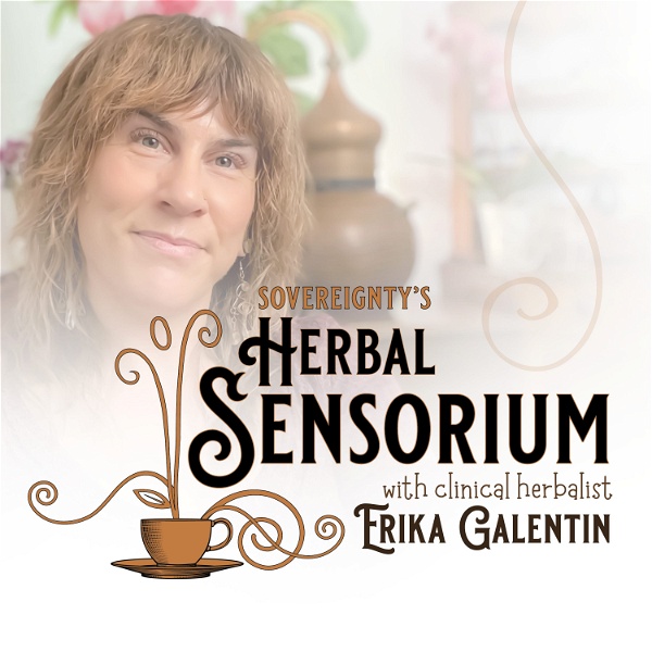 Artwork for The Herbal Sensorium