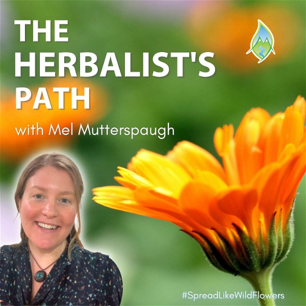 Artwork for The Herbalist's Path
