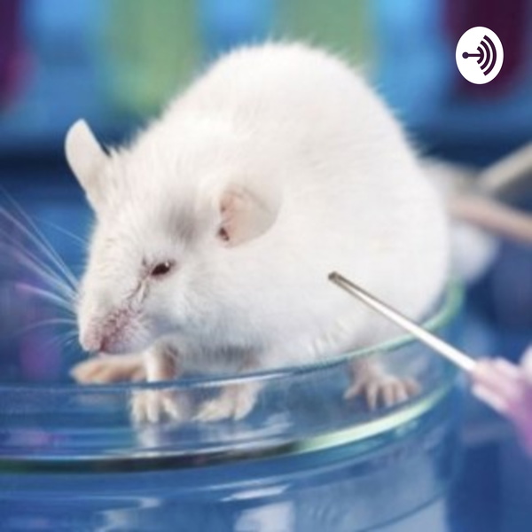 Artwork for The History Of A Testing Animal