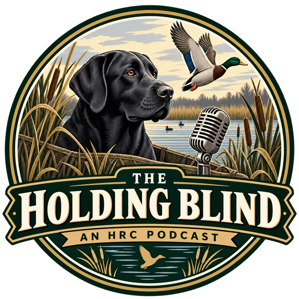 Artwork for The Holding Blind