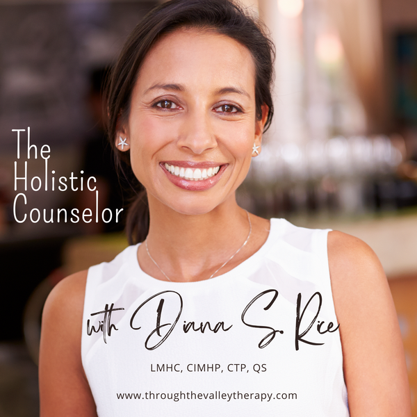 Artwork for The Holistic Counselor