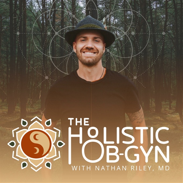Artwork for The Holistic OBGYN Podcast