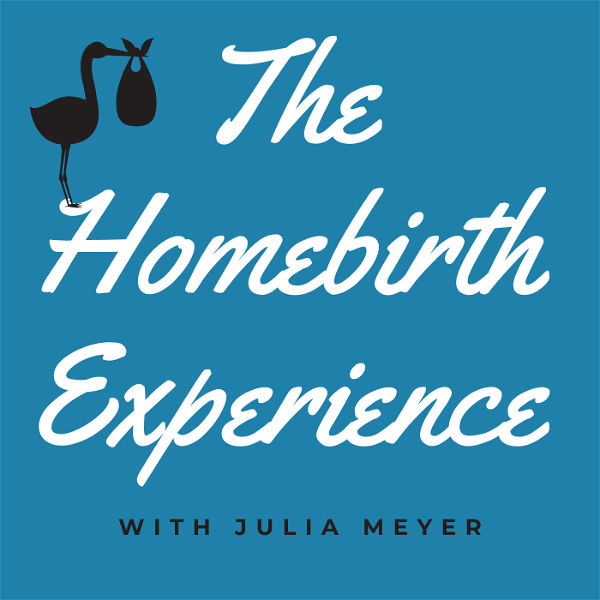 Artwork for The Homebirth Experience