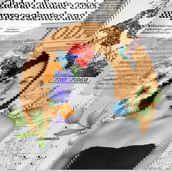 Artwork for The Hummingbird Chronicles