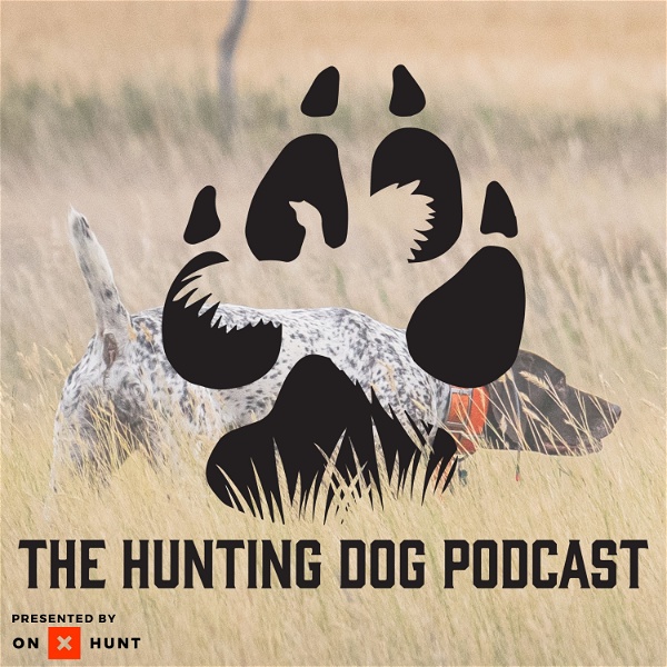 Artwork for The Hunting Dog Podcast