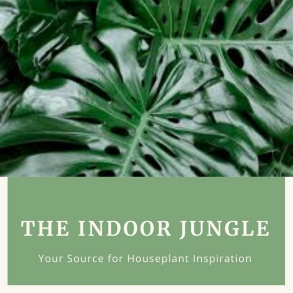 Artwork for The Indoor Jungle
