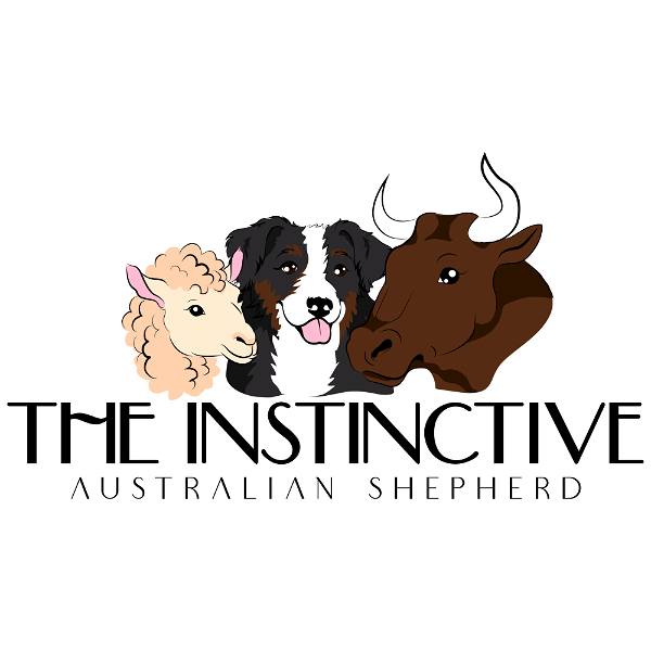 Artwork for The Instinctive Australian Shepherd