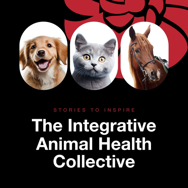 Artwork for The Integrative Animal Health Collective