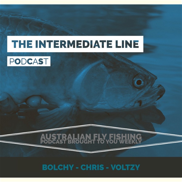 Artwork for The Intermediate Line Podcast