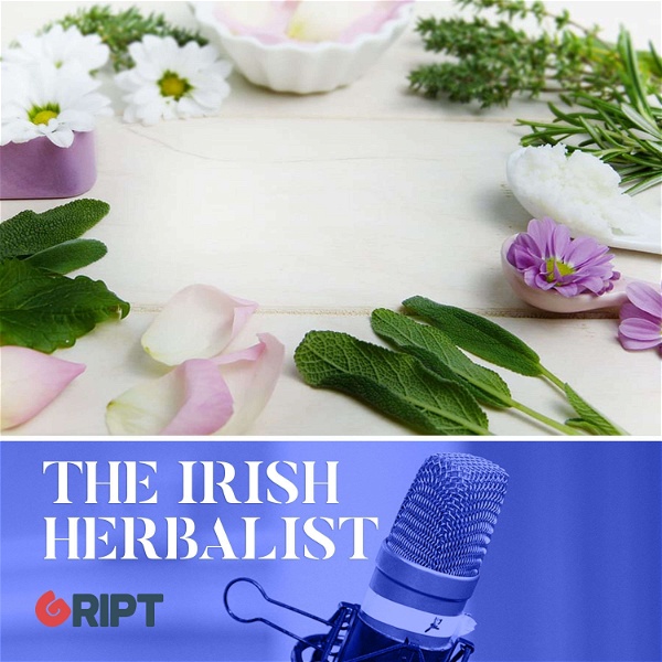 Artwork for The Irish Herbalist