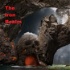 The Iron Realm Mega Dungeon Crawl & Dark Fantasy Solo RPG Gaming Podcast