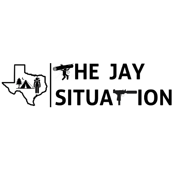 Artwork for The Jay Situation