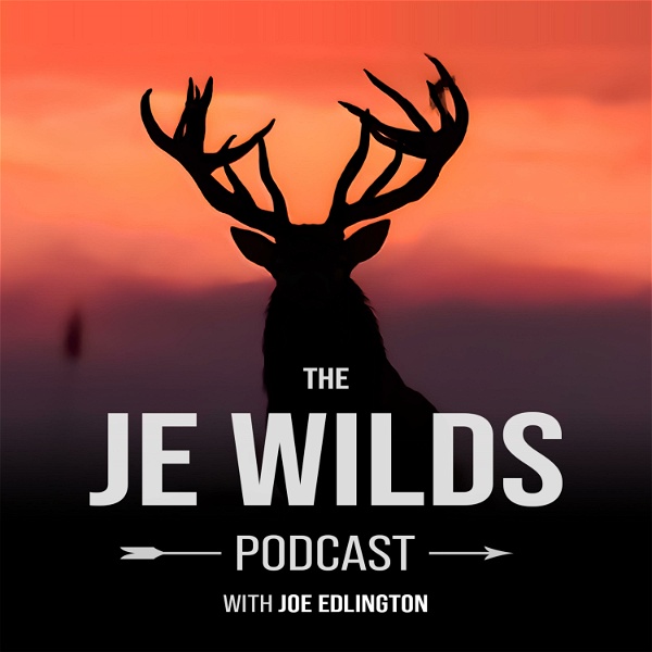 Artwork for The JE Wilds Podcast