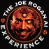 The Joe Rogan AI Experience