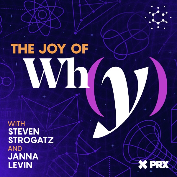Artwork for The Joy of Why