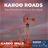 The Karoo Roads Companion