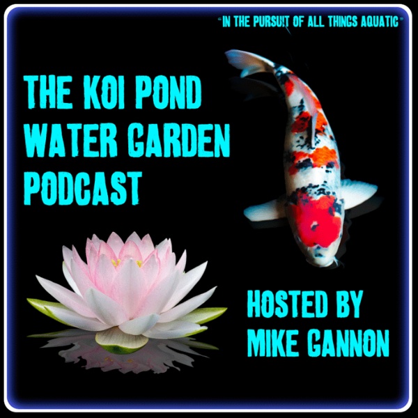 Artwork for The Koi Pond Water Garden Podcast