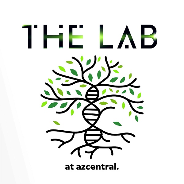 Artwork for The Lab at azcentral