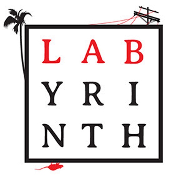 Artwork for The Labyrinth Project
