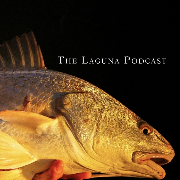 Artwork for The Laguna Podcast