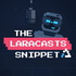 The Laracasts Snippet