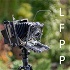The Large Format Photography Podcast