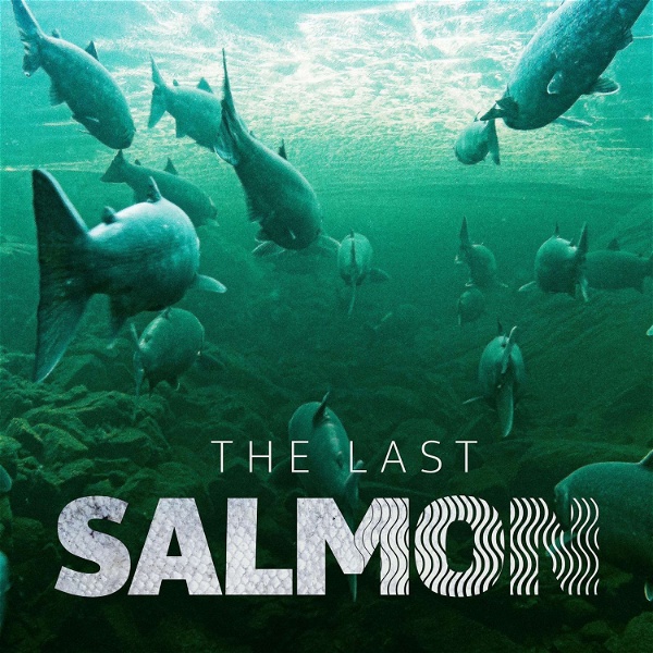 Artwork for The Last Salmon