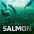 The Last Salmon