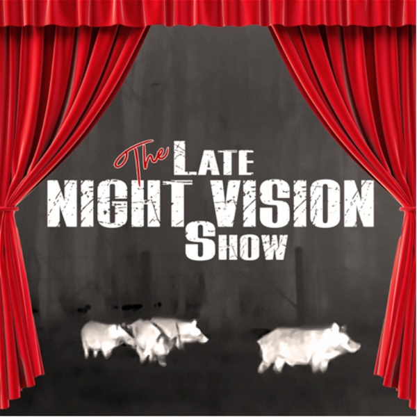 Artwork for The Late Night Vision Show