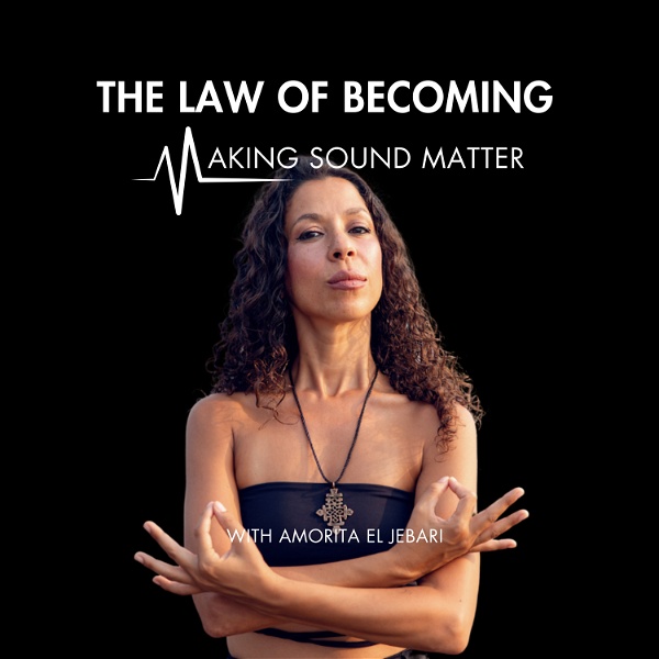 Artwork for The Law of Becoming