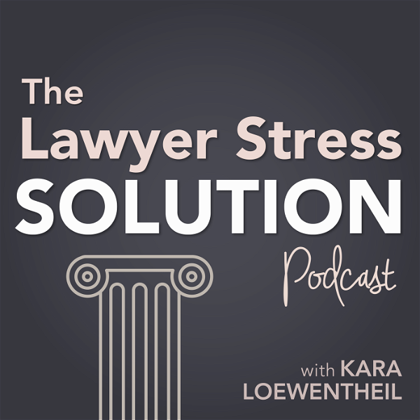 Artwork for The Lawyer Stress Solution