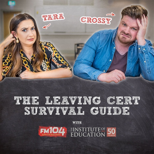 Artwork for The Leaving Cert Survival Guide