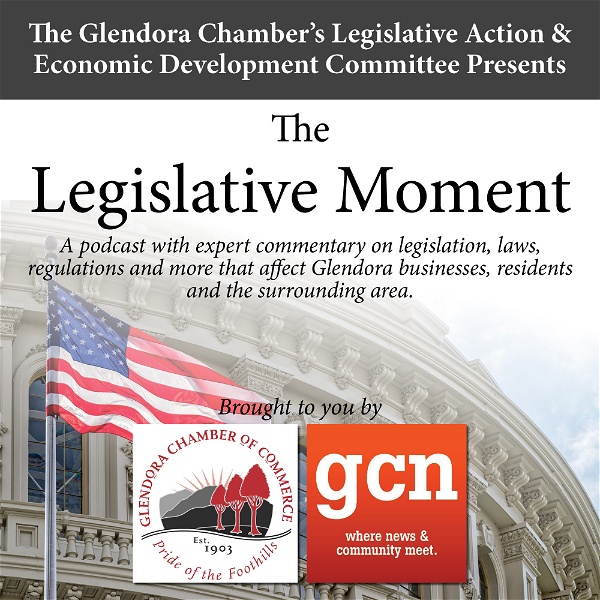 Artwork for The Legislative Moment