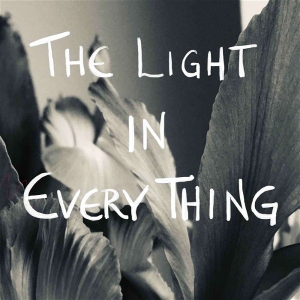 Artwork for The Light in Every Thing