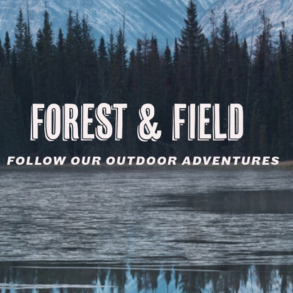 Artwork for Forest and field